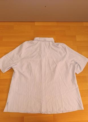 Cassani рубашка футболка10 фото