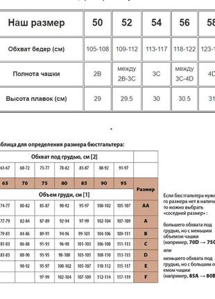 Купальник женский двухцветный sisianna голубой 59203 на 50 52 54 56 58 размер5 фото