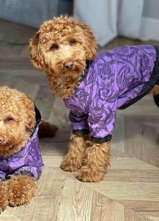 Дощовик візерунки бузок m-92