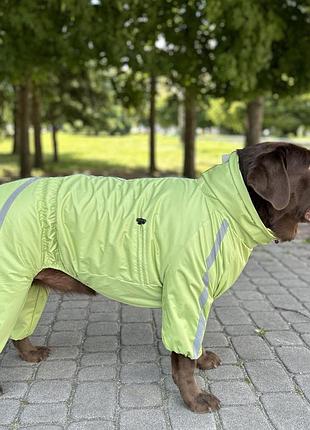Дощовик спорт на флiсi салатовий mf-32