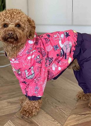 Дощовик париж m-91