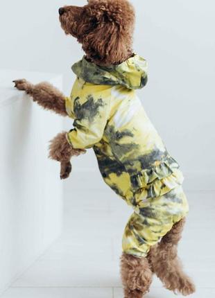 Дощовик для дiвчат рюша абстракцiя лимон md-18