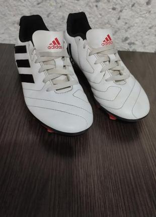 Adidas goletto vii ef7250 детские футбольные бутсы