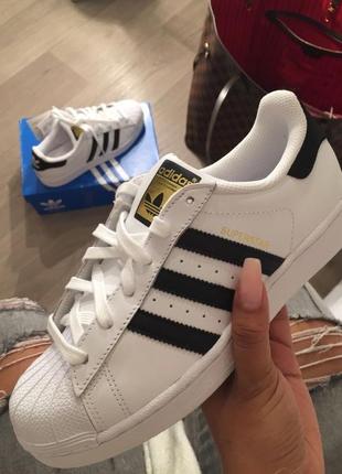 Adidas superstar classic