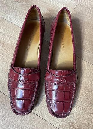 Мегастильні мокасини