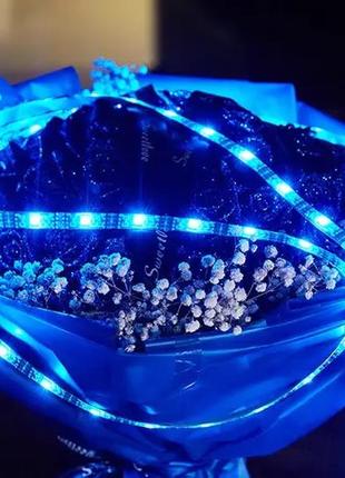 Світлодіодна стрічка hoco dl30 rgb 4м + пульт (чорна)6 фото