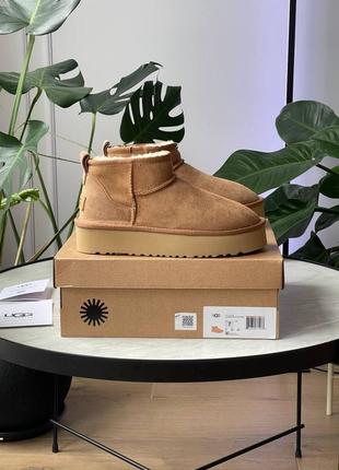Угги угг уггі Bluzy ugg ultra mini platform chestnut