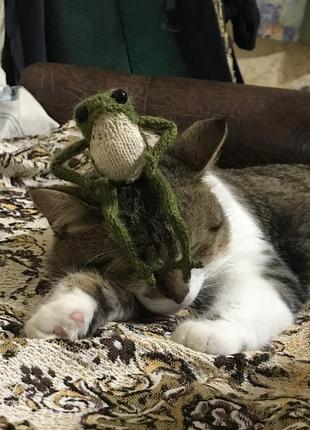 Вязаная игрушка лягушка с пинтерепитом