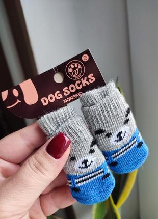 Носки , шкарпетки для собак