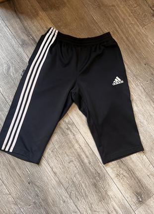 Шорти adidas