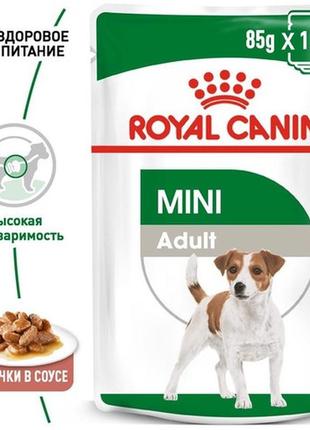 Влажный корм royal canin mini adult - консервы для взрослых собак мелких пород (вес взрослой собаки до 10 кг)