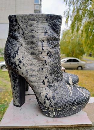 Стильні черевики