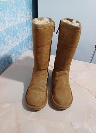 Сапоги женские ugg