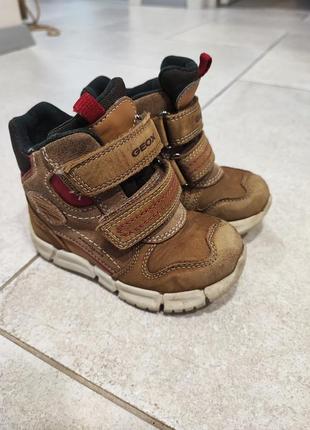 Ботиночки демисезон geox 23 размер