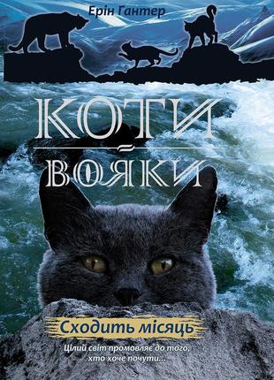Коті-вояки. комплект 6 книг. цикл 2. нове пророцтво3 фото