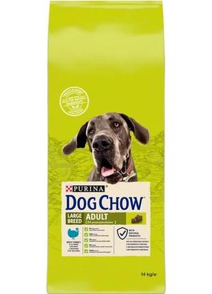 Сухий корм для собак великих порід віком від 2 років dog chow large breed з індичкою 14 кг (7613034487926)