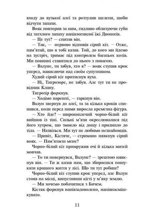 Книжка серія коти - вояки. темні часи книга 64 фото