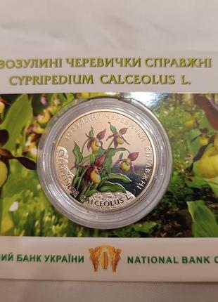 Зозулині черевички справжні у сувенірній упаковці, 2 грн, 2016 рік