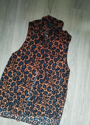 Блуза лео top shop