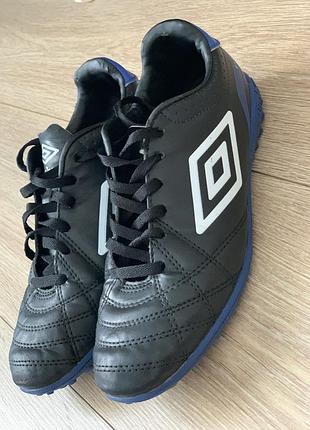 Мужские футзалки футбольные кроссовки umbro