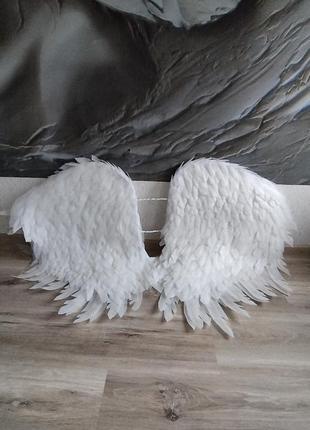 Крылья ангела