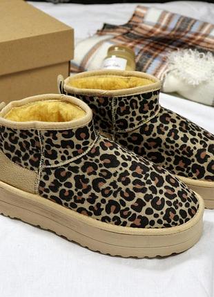 Жіноче зимове взуття, круті та теплі уггі