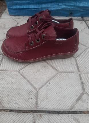 Туфлі   clarks