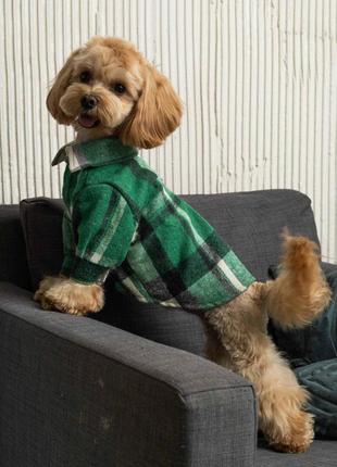 Сорочка картата зелена rub-52