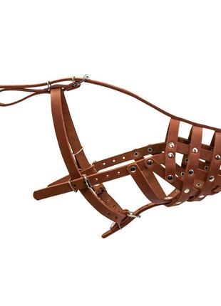 Намордник твердий "collar" (доберман, вівчарка, сеттер великий) коричневий