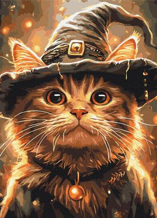 Картина за номерами brushme 40x50см "котик маг" bs54184