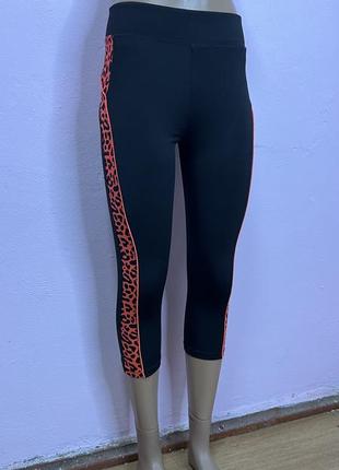 Бріджі фітнес