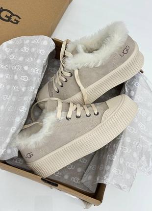 Зимние кеды кроссовки угг ugg