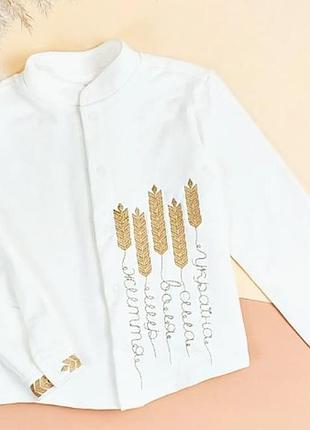 Тепла вишита сорочка для хлопчика біла