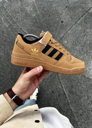 Кросівки adidas forum low (camel)
