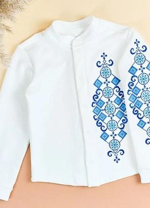 Біла вишиванка для хлопчика тепла