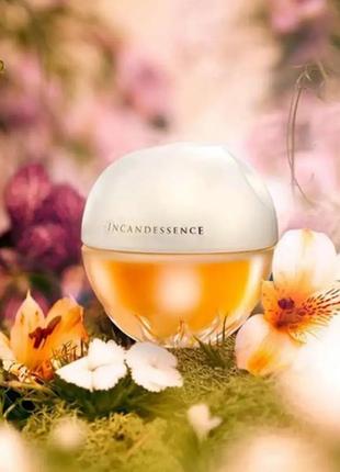 Incadessence 50 ml . аромат для жінок інкадесанс