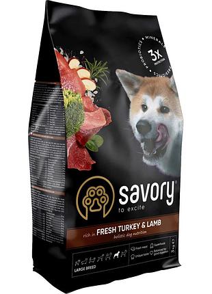 Сухий корм для собак великих порід savory large breeds turkey & lamb 12 кг