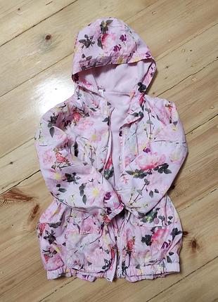 Куртка вітровка