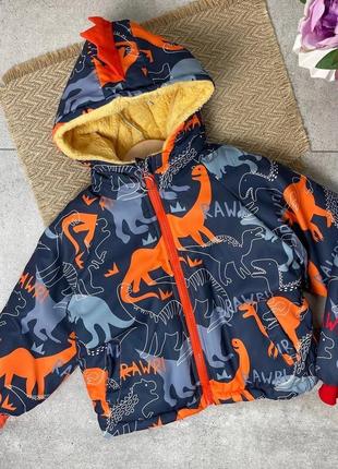 Зимова курточка dino на хутрі