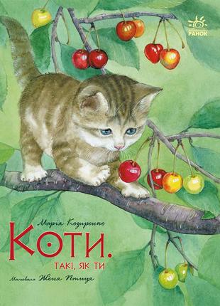 Коти. такі, як ти