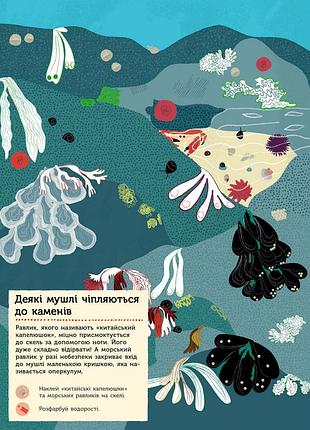 На березі моря 6