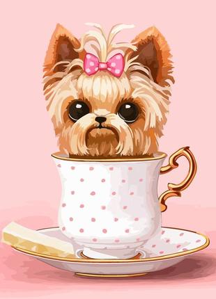 Картина за номерами rosa cute dog in a cup 35х45 см (n00013800)1 фото