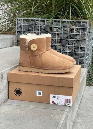 Угги угг уггі Bluzy ugg mini bailey button chestnut