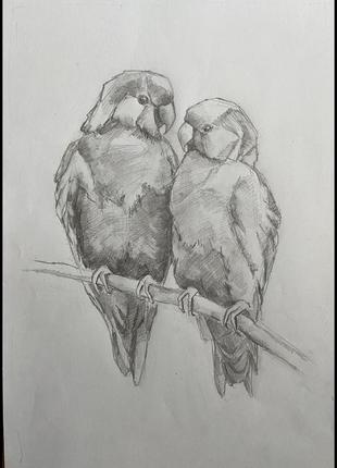 Графическая картина «пионы»