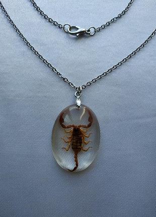 Скорпион кулон на цепочке, настоящий скорпион кулон, подарок скорпиону