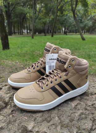 Оригинал. кроссовки зимние adidas hoops 2.0 mid 38р 25см.
