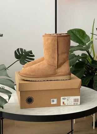 Ugg classic short ii chestnut 5