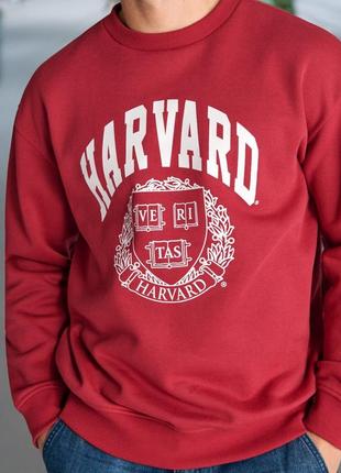 Свитшот harvard