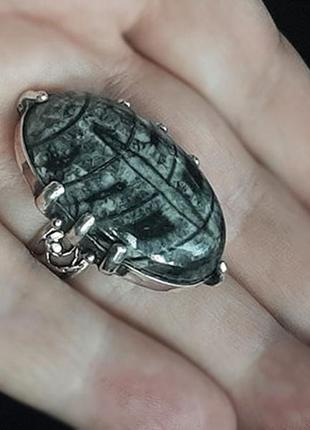 Кольцо с ортоцерасом - привет из палеозоя
