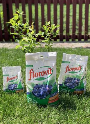 Флоровіт florovit добриво для чорниці (лохини) 3 кг4 фото